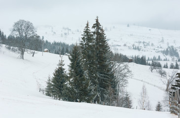 Early morning winter mountain village landscape