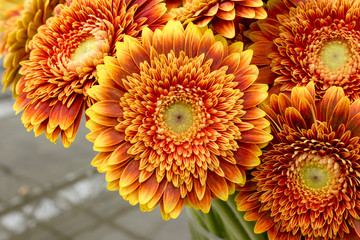 Bouquet of yellow and orange  gerberas in a vase, close-up