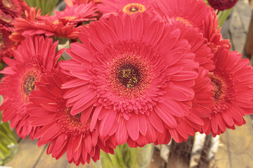 Bouquet of red gerberas in a vase, close-up