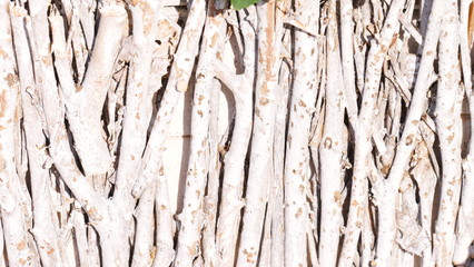 Helle Holzästchen als Hintergrund