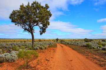 Dirt track across Australian outback