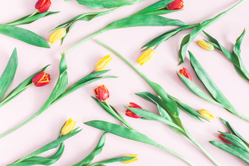 Flowers composition. Pattern made of tulip flowers on pink background. Flat lay, top view