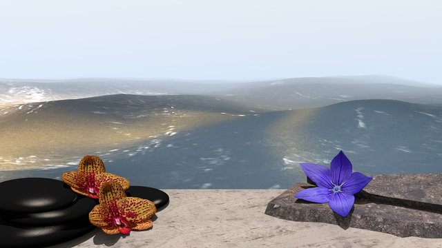 Orchideen, Bimssteine, Blüte und Bruchsteine auf Sandstrand vor der Weite des Meeres. 3d render