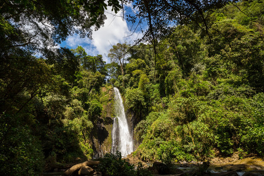 Waterfall in jungle © Galyna Andrushko