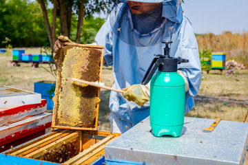 Fototapeta na wymiar Beekeeper is using bristle to get rid of bees