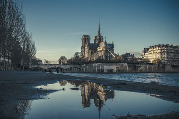 Fototapeta premium Notre dame dans une flaque