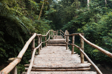 Walking pathway to rainforest made from bamboo.