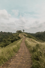 Hiking trek in Campuhan, Ubud, Bali, Indonesia