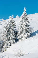 Obraz premium Winter mountain snowy landscape
