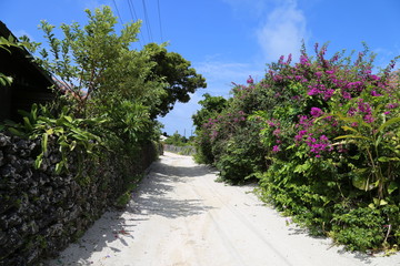 Naklejka premium 竹富島