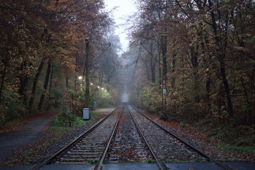 Tram tracks in the forest area in Frankfurt am Main, Germany. Autumn. 