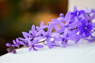 Petrea volubilis on white chair with natural background.