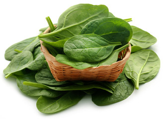 Fresh Spinach