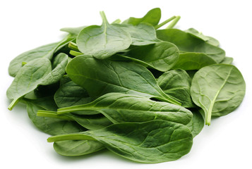 Fresh Spinach