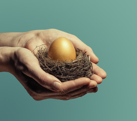 Female hands carefully hold the nest with a golden egg. The concept of saving and increasing...