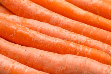 Fresh, raw, organic, bio, orange carrots. Healthy vegan vegetarian vegetable food