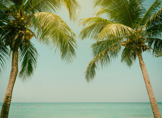 Fototapeta na wymiar Palm trees coconut beach sea sky in the summer of the holiday vintage toned