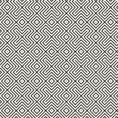 Vector seamless lattice pattern. Modern stylish texture with monochrome trellis. Repeating geometric grid. Simple design background.