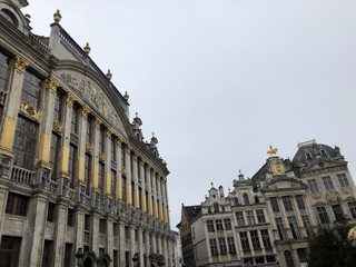 Fototapeta na wymiar Palazzi dorati della Grand Place di Bruxelles, Belgio