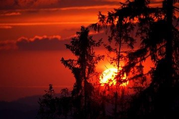 The arrival of the night