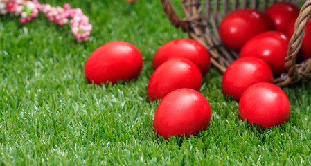 Fototapeta na wymiar Easter eggs out of a basket on green grass, close up view, closeup