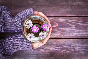 Female hands hold a round glass vase with floating pink-white flowers on a brown wooden background, top view, a concept with a place for text.