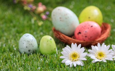 Easter concept. White daisies on green grass, blurred easter eggs background. Selective focus on the flowers