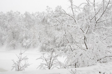 Winter landscape with a pond