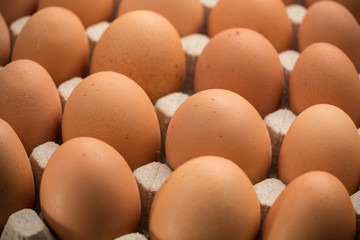 Brown cage-free chicken eggs