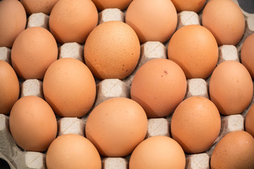 Brown cage-free chicken eggs