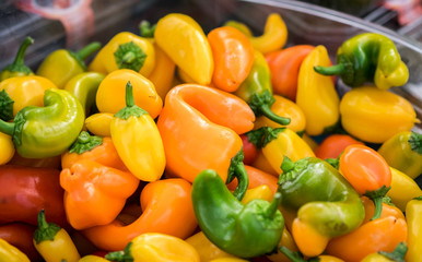 Small or Dwarf yellow, red, and green bell peppers for sale at city farmers market