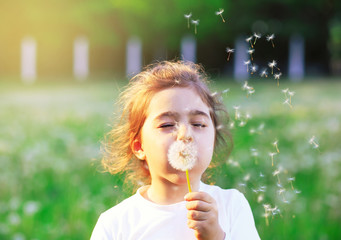 Beautiful little Girl blowing dandelion flower in sunny summer park. Happy cute kid having fun outdoors at sunset.