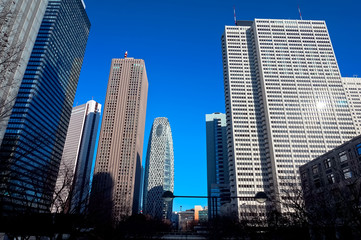 Fototapeta na wymiar 東京 西新宿の高層ビル群