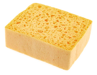 éponge, fond blanc