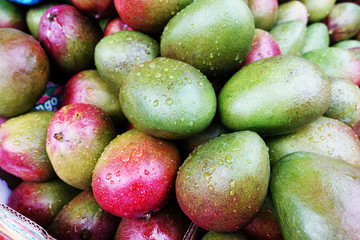 Pile of rife mango fruits at grocery
