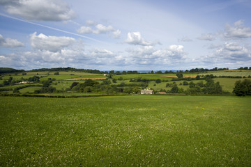 Summer sunshine view of an idyllic valley in the Cotswold countryside near Painswick, Gloucesteshire, UK.