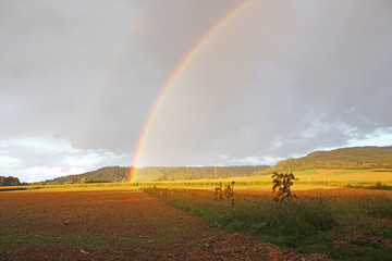 Colors of the rainbow