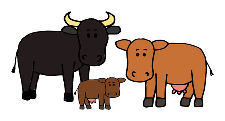 Cute kid easy vector illustration of cow family including mother, father and kid, isolated on white background.