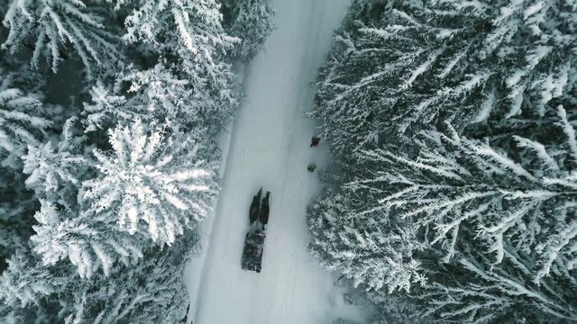 Aerial top down view of a horse driven sleigh in forest in falling snow