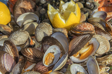 Plateau de fruits de mer 