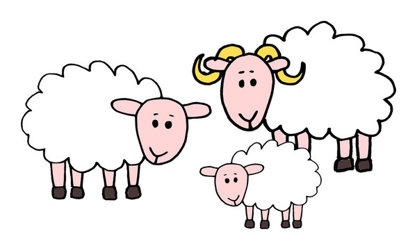 Cute kid easy vector illustration of sheep family including mother, father and kid, isolated on white background.