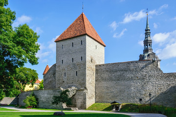 Obraz premium Fortress of old Tallinn.