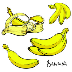A set of four yellow ripe banana illustrations with a black outline. Vector drawn by hands. Isolated on white background.