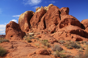Fototapeta premium Rock formation in Valley of Fire State Park in Nevada in the USA 