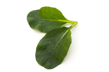 Spinach leaves close up isolated on white.