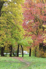 Autumn Landscape. Park in Autumn. The bright colors of autumn