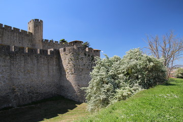Fototapeta na wymiar Carcassonne 21