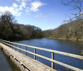 One of the walkways across Bosherston Lily Ponds in spring sunshine, Bosherston, Pembrokeshire, Wales, UK