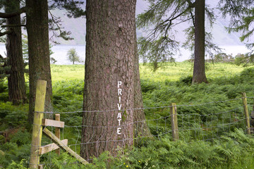 A hand painted 'Private' sign on a tree near picturesque          Wastwater in The Lake District, Cumbria, UK