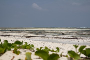 Zanzibar (Tanzania) beach during low tide with a wooden fishing boat
